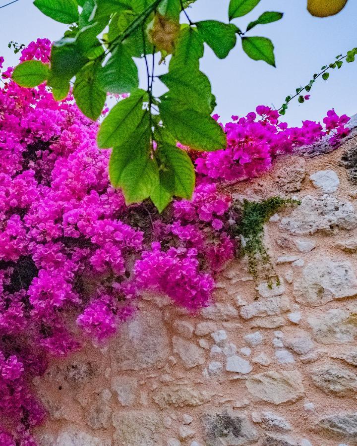 The Venetian Walls 'Central House With Private Courtyard - Charmy & Cheap' 이라클리온 외부 사진
